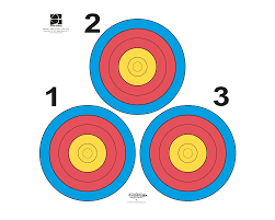 40cm 3 Spot Target Face