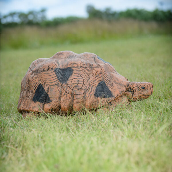 Tortoise Large