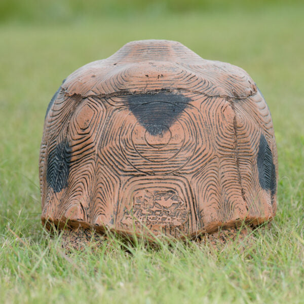 Tortoise Large