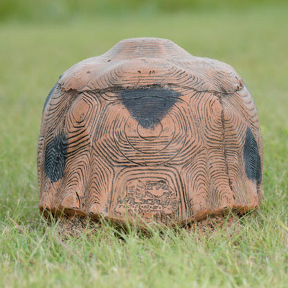 Tortoise Large