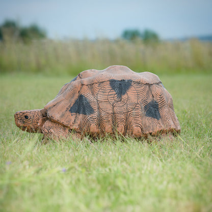 Tortoise Large
